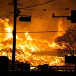 At Least 24 Dead as Wildfires Rips Through South Korea Heartland