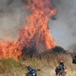 Greece Burns As Five Massive Wildfires Rage During Record Breaking Heatwave